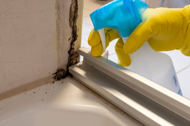 Best Post-Flood Mold Remediation in Atco, NJ