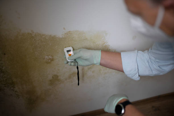 Atco, NJ Mold Remediation Company
